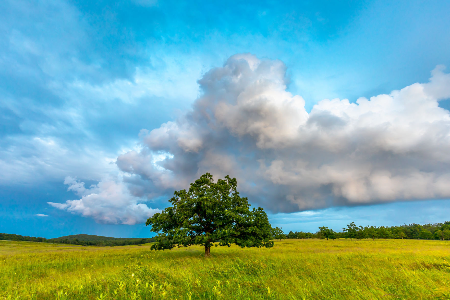8TR - After the Rain - Hennessy.jpg